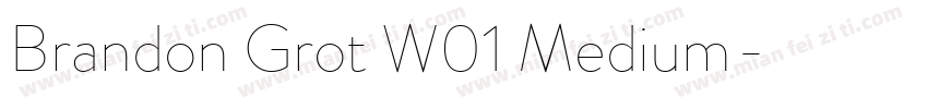 Brandon Grot W01 Medium字体转换